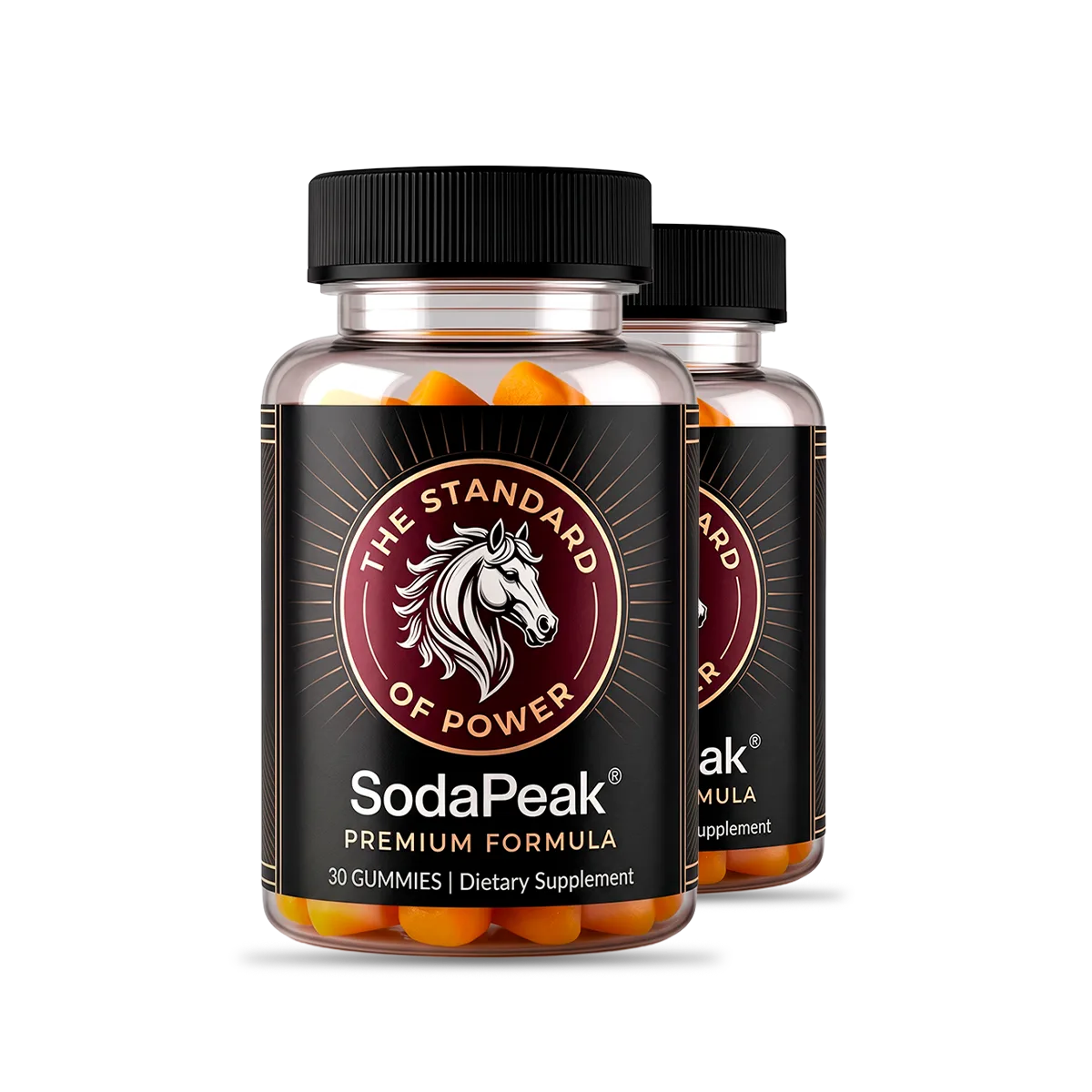 SodaPeak Official website SodaPeak 2 bottle package