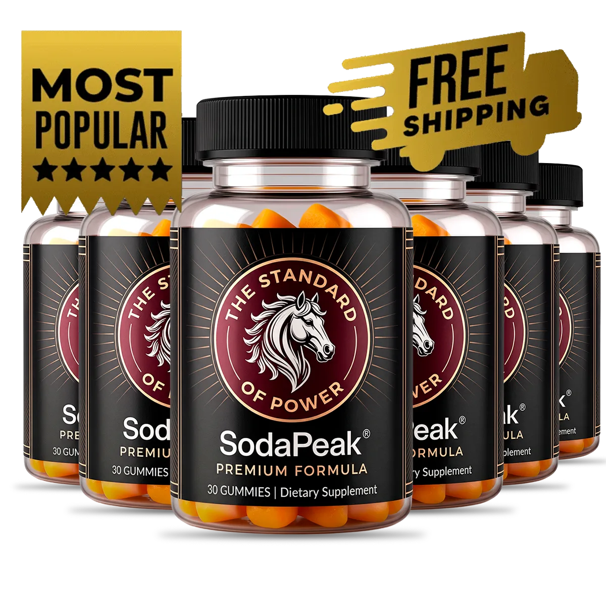 SodaPeak Official website SodaPeak 6 bottle best value package